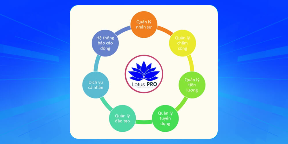 Phần mềm Lotus Pro