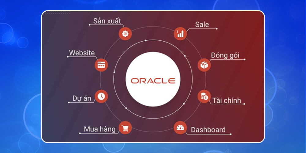 Phần mềm quản lý doanh nghiệp vừa và nhỏ Oracle ERP
