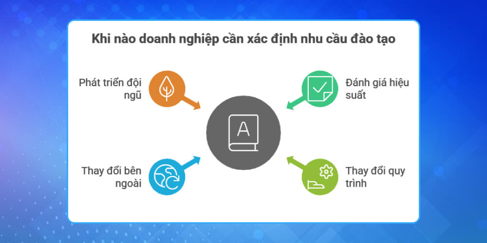Khi nào cần xác định nhu cầu đào tạo nhân viên